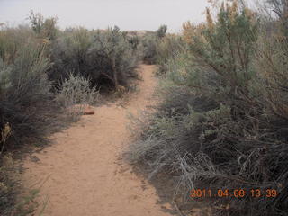 193 7j8. Canyonlands Needles - Cave Spring hike