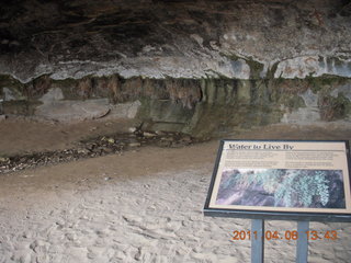 198 7j8. Canyonlands Needles - Cave Spring hike sign