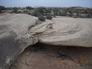 225 7j8. Canyonlands Needles Slickrock hike
