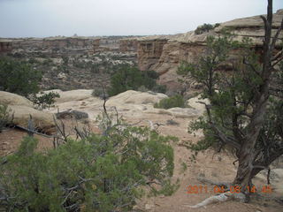 226 7j8. Canyonlands Needles Slickrock hike
