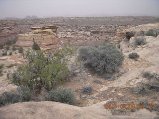 249 7j8. Canyonlands Needles Slickrock hike