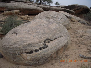 280 7j8. Canyonlands Needles Slickrock hike