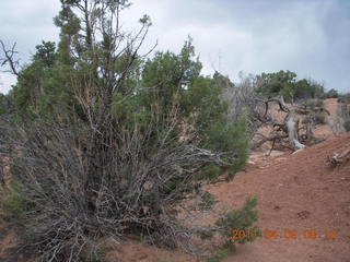 67 7j9. Arches Devil's Garden hike