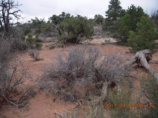 68 7j9. Arches Devil's Garden hike