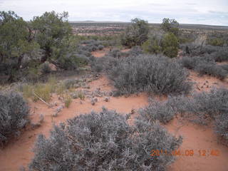169 7j9. Dead Horse Point - Big Horn hike