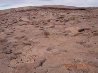 212 7j9. Dead Horse Point - Big Horn hike - knobby rock