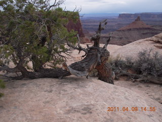 255 7j9. Dead Horse Point - Rim View