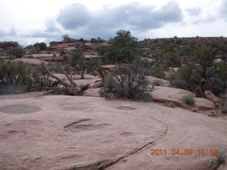 299 7j9. Dead Horse Point - Basin View hike