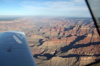 Dead Horse Point - Basin View hike - Pinyon (everybody's got one)