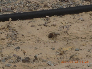 Ruhil's pictures - aerial - Sedona