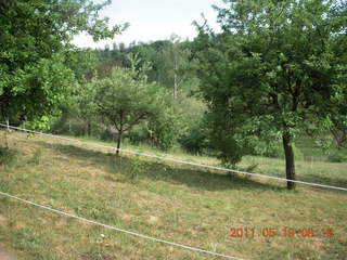 29 7kk. Neunkirchen run