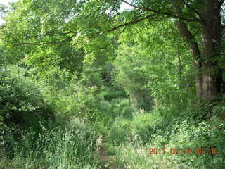 31 7kk. Neunkirchen run