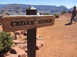 Norbert's pictures - Grand Canyon trip - Ceder Ridge sign