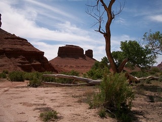 Bryce's pictures of Muddy Creek near Hidden Splendor