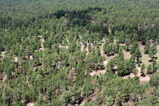 Sean's pictures - aerial