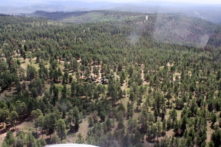 Sean's pictures - aerial