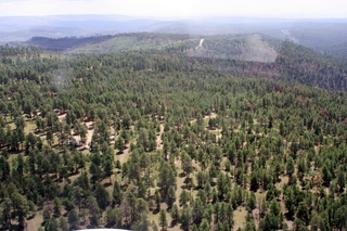 Sean's pictures - aerial