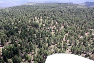 Sean's pictures - aerial