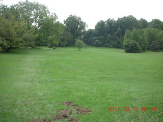 Cheltenham Cross Country - Curtis Arboretum XC