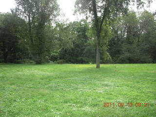 Cheltenham Cross Country - Curtis Arboretum XC