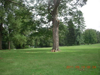 Cheltenham Cross Country - Curtis Arboretum - new-course views (in reverse order as I ran the loop backwards)
