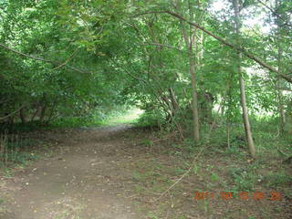 Cheltenham Cross Country - Curtis Arboretum - new-course views (in reverse order as I ran the loop backwards)