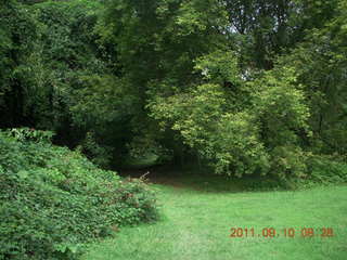Cheltenham Cross Country - Curtis Arboretum XC