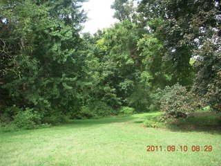 Cheltenham Cross Country - Curtis Arboretum XC