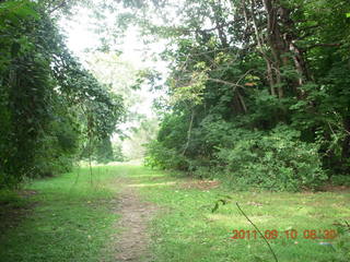 Cheltenham Cross Country - Curtis Arboretum XC