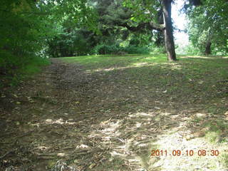 Cheltenham Cross Country - Curtis Arboretum - new-course views (in reverse order as I ran the loop backwards)