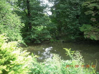 Cheltenham Cross Country - Curtis Arboretum - new-course views (in reverse order as I ran the loop backwards)