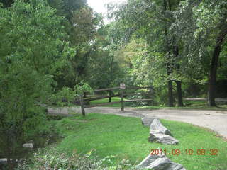 Cheltenham Cross Country - Curtis Arboretum - new-course views (in reverse order as I ran the loop backwards)