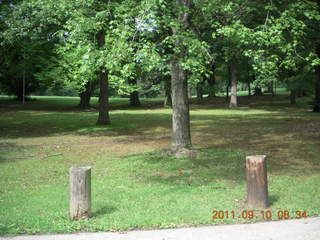 Cheltenham Cross Country - Curtis Arboretum