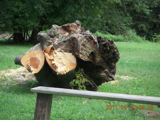 Cheltenham Cross Country - Curtis Arboretum - new-course views (in reverse order as I ran the loop backwards)