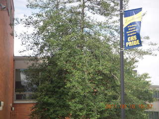 Cheltenham Cross Country - Curtis Arboretum XC