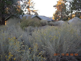 32 7q8. Big Bear (L35) run