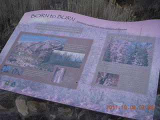 35 7q8. Big Bear (L35) run - sign