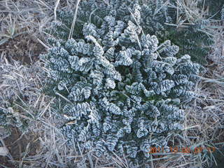 52 7q8. Big Bear (L35) run - frost