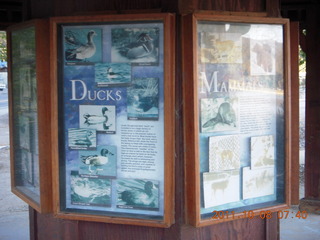 68 7q8. Big Bear (L35) run - signs