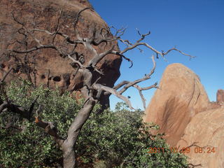 53 7q9. Arches National Park - Devil's Garden hike