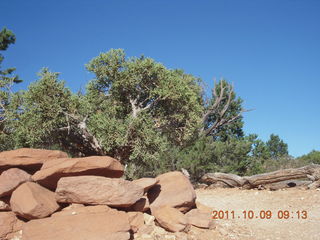 62 7q9. Arches National Park - Devil's Garden hike