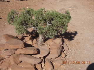 63 7q9. Arches National Park - Devil's Garden hike