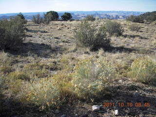 30 7qa. Cedar Mountain airstrip run
