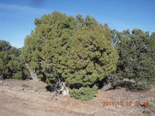 36 7qa. Cedar Mountain airstrip run