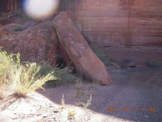 115 7qb. Canyonlands National Park - Lathrop trail hike