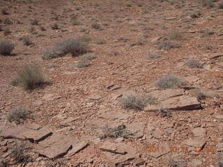155 7qb. Canyonlands National Park - Lathrop trail hike
