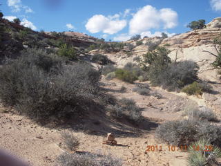 204 7qb. Canyonlands National Park - Lathrop trail hike
