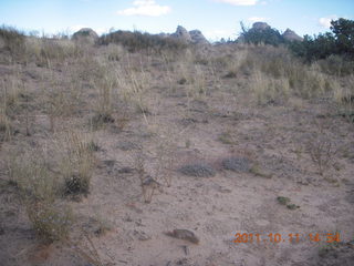217 7qb. Canyonlands National Park - Lathrop trail hike