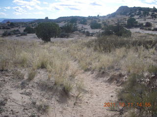 219 7qb. Canyonlands National Park - Lathrop trail hike