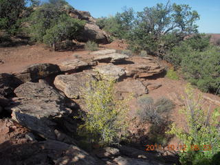83 7qc. Dead Horse Point hike